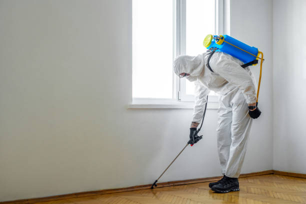 Best Cockroach Control Services  in Heritage Hills, NY