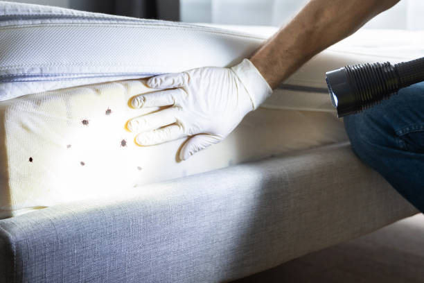 Best Pest Removal Services  in Heritage Hills, NY