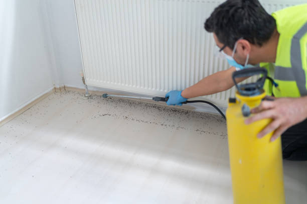 Best Mosquito Control Services  in Heritage Hills, NY